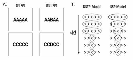 (A) 뉴욕데이터 Flanker task의 일치, 불일치 자극 예 (B) DSTP모델과 SSP모델에서의 인지 과정 차이