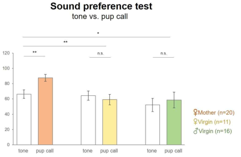 Mother 생쥐와 Virgin 생쥐에서 pup call에 대한 preference를 test 한 결과, mother 생쥐만 pup call에 대한 preference를 보임을 확인할 수 있음. Virgin male의 경우에도 pup call preference가 없음