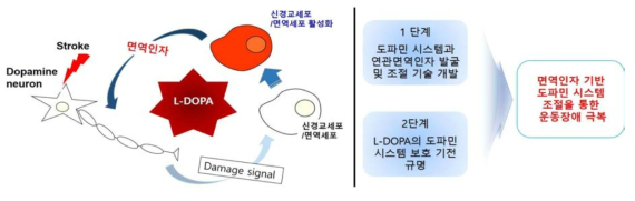 연구 계획서에 제안한 내용의 모식도