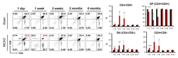 뇌졸중 후 흉선 내 thymocytes 분석