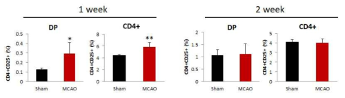 CD4/CD25 분석을 통한 thymocytes 내 조절 T 세포 분석