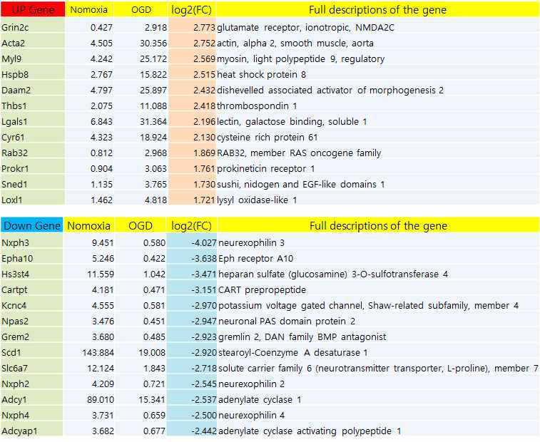신경세포에 OGD 유무 후 up, down 유전자 top 12개 분석