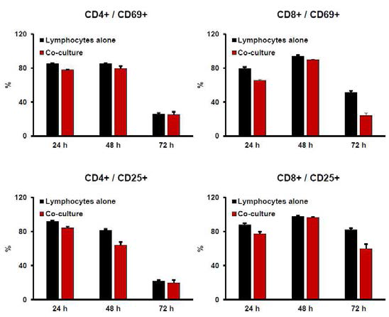 신경세포와 비장세포 공배양 후 T 세포에서 CD25, CD69 분석