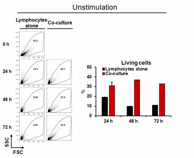 Astrocytes과 비장세포 공배양 후 림프구 생존율 확인 (TCR자극 없음)