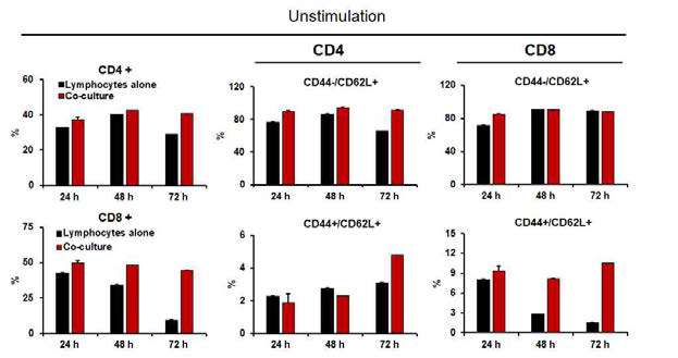 Astrocytes과 비장세포 공배양 후 CD4/CD8 및 CD44/CD62L 분포 확인 (TCR자극 없음)