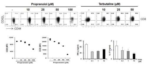 Propranolol과 Terbutaline이이 T 세포에 미치는 영향