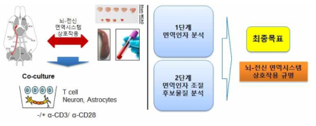 연구 계획서에 제안한 내용의 모식도