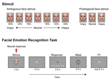 자기공명영상용 얼굴 감각자극의 구성과 얼굴감정 인식 실험 디자인