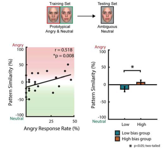 중성적인 얼굴을 화남으로 인식하는 성향이 높을수록 VLPFC의 신경표상이 전형적인 화난 얼굴에 대한 신경표상과 유사도가 증가함