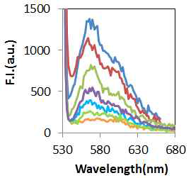 miRNA 192 농도별 NCR 반응물의 형광 스펙트럼 측정 결과 miRNA 192 반응 농도: 0, 1 fM, 10 fM, 100 fM, 1pM, 10 pM, 100 pM