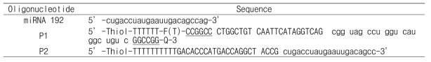 miRNA 192와 Probe 염기서열 (소문자: RNA, 대문자: DNA, P1에서 Stem 서열은 밑줄로 표시)