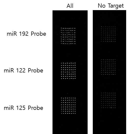 3종의 miRNA 동시 검출 결과