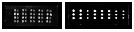 2 mm (좌)와 0.3 mm (우) 두께의 PDMS 필름을 이용하여 고정시킨 Probe 스팟의 형광 이미지