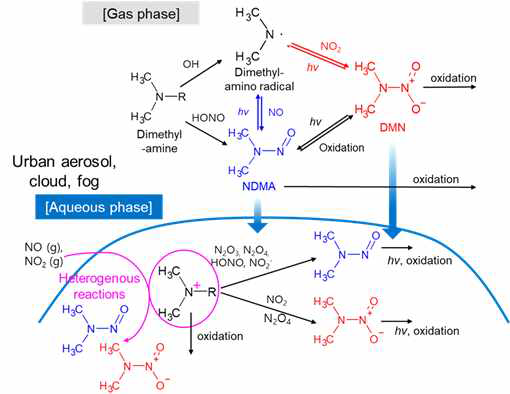 니트로사민과 니트라민을 생성하는 대기화학반응
