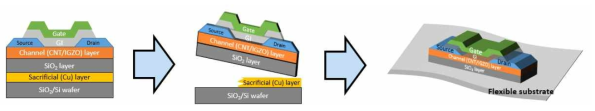 Transfer 방법을 활용한 유연 CNT/IGZO 개별 소자 공정