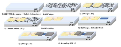 CNT-IGZO hybrid inverter 제작 과정