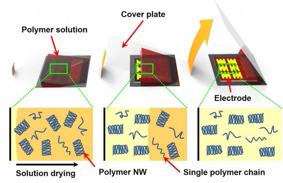 Schematic illustration of the procedure for aligning conjugated polymer nanowires (NWs) on a FET device substrate via controlled evaporative self-assembly by a mechanically-driven meniscus movement