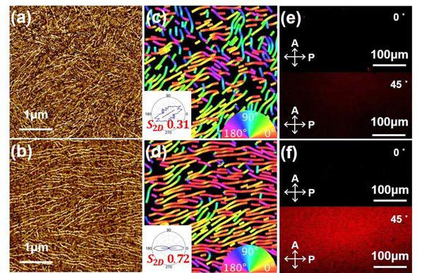 AFM images (a,b), orientation maps (c,d), and POM images (e,f) of P3HT NW films obtained by spin-coating and MCESA, respectively. The spin-coating was conducted at 2000 rpm and the MCESA process was performed while one part of the cover plate was lifted up at 0.03 mm/s. The orientation map produced by using GTFiber software represents the orientation of NWs