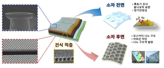 자연모사 봉지막 기술을 적용한 고효율 장기안정 유연 페로브스카이트 태양전지