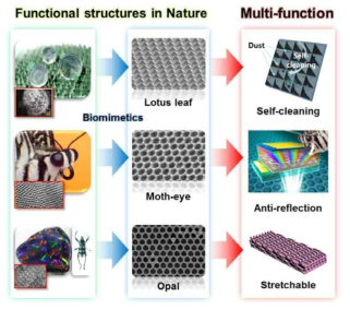 자연모사 기술을 이용한 다양한 멀티스케일 구조물 제작과 그 응용