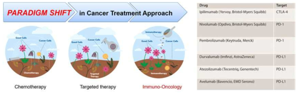종양 치료법의 ‘패러다임 시프트’에 따른 미국 FDA 승인 면역 치료제 (2018년)
