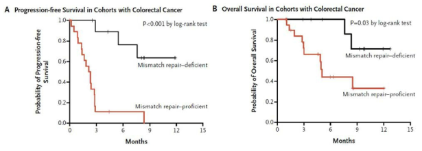 Pembolizumab 치료에 따른 MSI/MSS 타입별 대장암 환자의 생존율