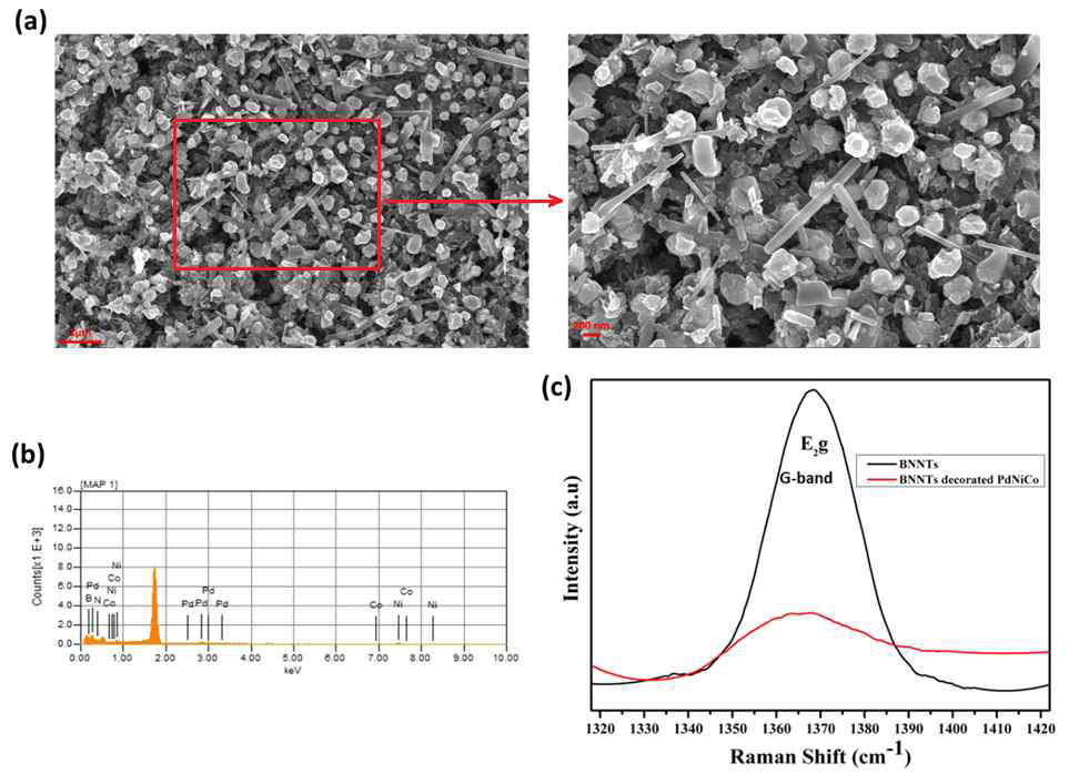 (a) XRD for BNNTs decorated PdNiCo ternary alloy nanoparticles (b) EDS spectroscopy (c) Raman spectra for BNNTs and BNNTs decorated PdNiCo ternary alloy nanoparticles