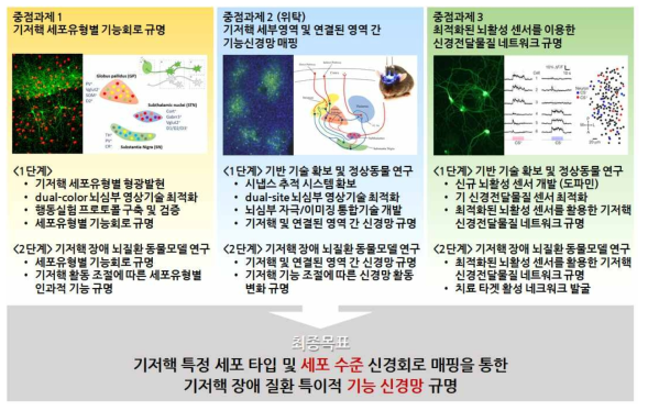 기저핵 특화 세포수준 기능 신경면결망 구축 연구 개발의 개요