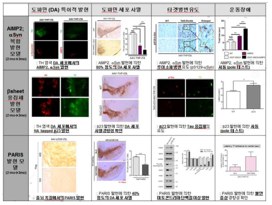 기저핵 장애 뇌병변 표현 급성 마우스 모델 3 종에 대한 표현형 분석 결과 요약표