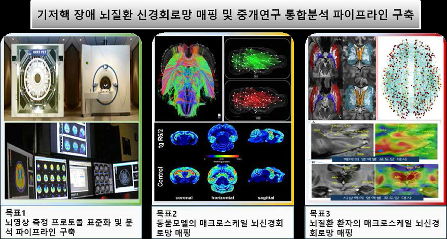 생체영상기법을 이용한 매크로 뇌신경회로망 매핑 연구개요