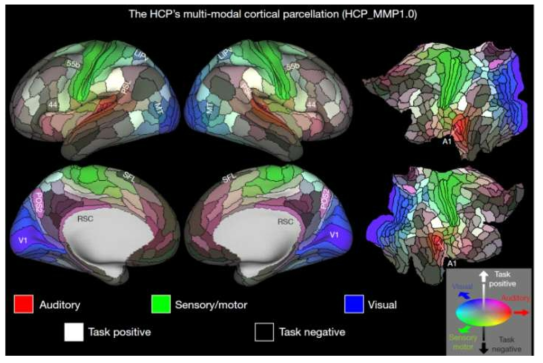 A multi-modal parcellation of human cerebral cortex. Nature (2016)