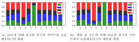 분기점 사이트에서 학습 된 뉴클레오티드 확률