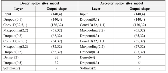 Donor 및 Acceptor 스플라이스 위치 예측을 위한 딥러닝 모델의 세구 구조