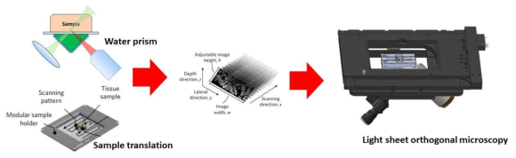 빛 시트 직교 현미경의 촬영 개요
