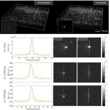 단일 수차가 보정된 0.2 μm fluorescent beads의 3차원 이미징