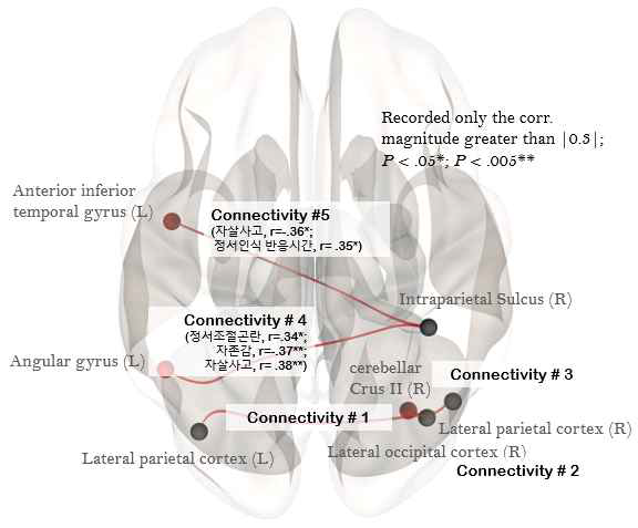 Resting State Connectivity 로 파악한 감성지능 이상성과 관련한 Intrinsic