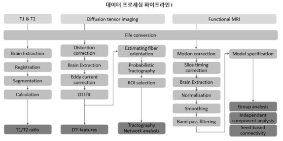구축한 영상 프로세싱 파이프라인I. T1/T2 및 DTI, functional MRI 의 프로세싱의 주요 단계 및 순서