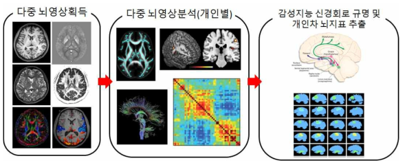 다중 뇌영상 데이터 획득 및 분석을 통한 감성지능 신경회로 규명 및 개인차 뇌 지표 추출