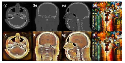 (a)-(c) Input 3차원 볼륨의 3 슬라이드, (d) 2차원 스타일, (e)-(g) 스타일을 적용시킨 결과 볼륨 3 슬라이드, (f) Autoencoder을 통해 복원된 2차원 스타일