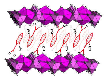 Schematic representation for the arrangement of salicylate anions in the gallery of LYH:Tb