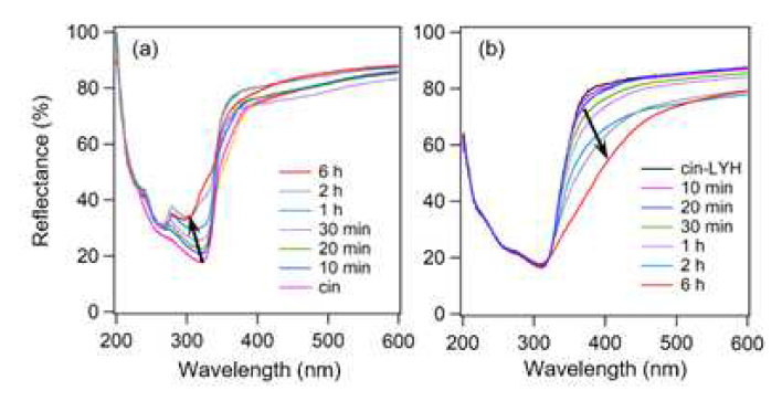 UV-vis reflectance spectra of (a) cinnamic acid and (b) cin-LYH as a function of irradiation time of the simulated sunlight. Arrows represent the variation direction with increasing the irradiation time from 10 min to 6 h