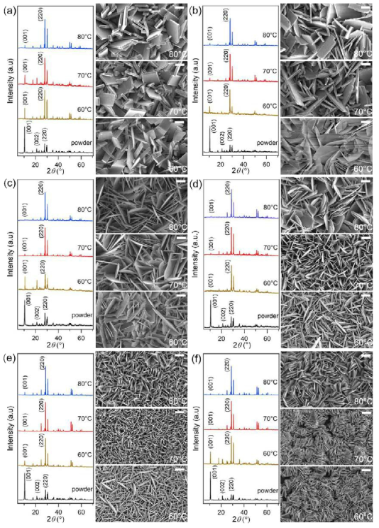 The XRD patterns and SEM images (bar = 4 μm) of (a) LEuH, (b) LGdH, (c) LTbH, (d) LDyH, (e) LHoH, and (f) LErH films grown in 0.10 M HMTA solution for 10 h at 60, 70, and 80 ℃. The corresponding powder XRD patterns are also given for comparison