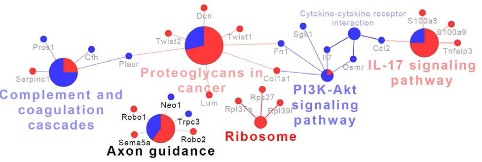 RNA-Seq과 ChIP-Seq에서 차이나는 공통된 모든 유전자들의 KEGG 네트워크 조사
