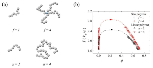 Linear homopolymer와 star homopolymer의 모델 및 GEMC를 통해 측정한 고분자들의 상전이 경향. (a) Polymeric branch가 1개 또는 4개일 때 (f=1과 f=4로 표기) star homopolymer 및 이 고분자들과 단위체 수가 같은 linear homopolymer를 묘사한 그림 (n=1과 n=4로 표기). f =1 일 때와 n=1 일 때의 모델의 구조는 서로 같다. (b) 각각의 고분자들에 대해 온도 T 에 따른 평형 상태의 밀도 Φ를 측정한 그림