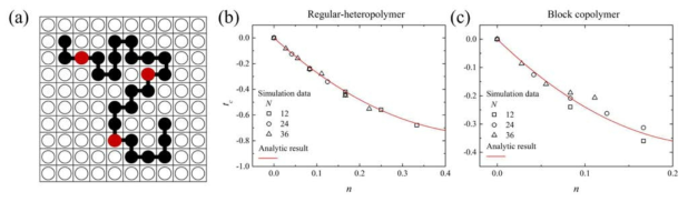 (a) Heteropolymer에 대한 격자모델의 개형 및 단위체들이 (b) 균질하게 배열된 고분자와 (c) 종류에 따라 한 부분에 모여 배열된 고분자의 임계온도를 수가 적은 단위체의 비율에 대해 나타낸 결과