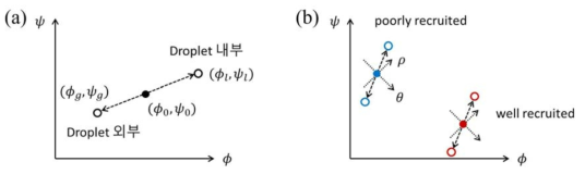 Heterogeneous polymer mixture에서의 상분리의 도식. (a) 상분리를 계 내부에서 단백질 농도가 색칠된 검은 원으로 표시된 초기값에서 색칠되지 않은 기호들로 표시된 droplet의 밀도(l: liquid) 및 그 외부의 밀도(g: gas)로 분리되는 상황을 나타내었다. (b) 두 단백질 중 한 종의 양이 특히 많을 때 heterogeneous polymer mixture에서의 상분리 양상을 나타낸 도식