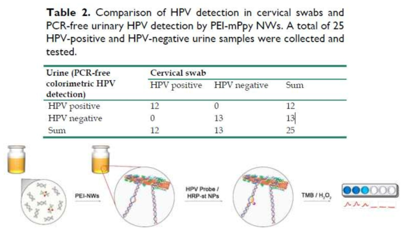 나노와이어를 사용하여 HPV-positive인 환자 및 HPV-negative인 환자의 소변에서 colorimetric assay로 결과를 분석 및 검증하였음