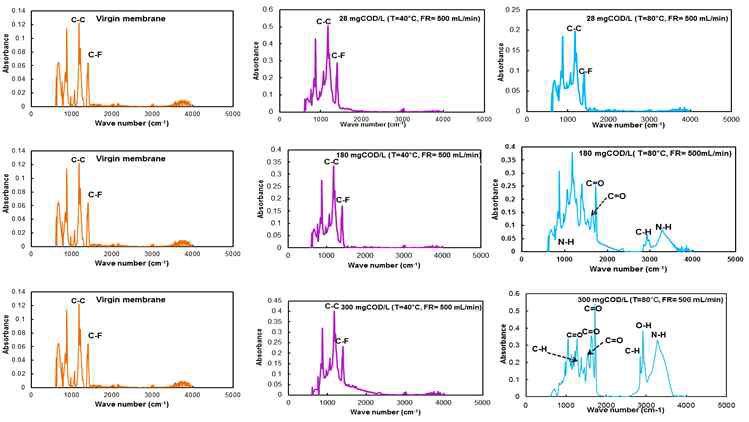 MD막 표면FTIR 관찰결과
