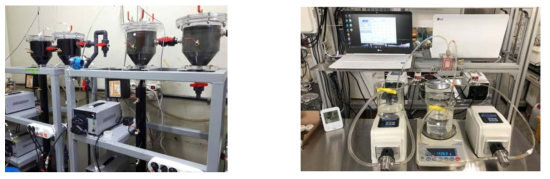 혐기성유동상 MBR(좌)과 FO 여과실험장치(우)
