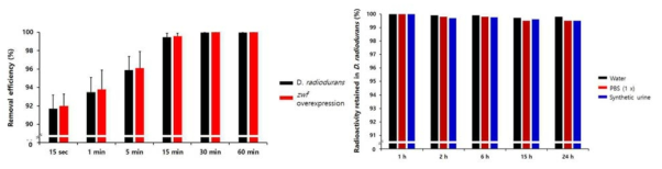 금 나노 합성능이 있는 D. radiodurans strain을 활용한 방사성 요오드제거 실험 (좌) 및 desorption rate 분석 (우)